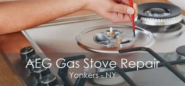 AEG Gas Stove Repair Yonkers - NY