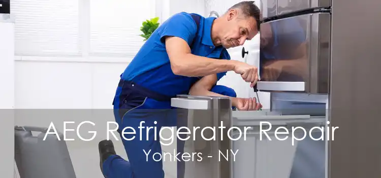 AEG Refrigerator Repair Yonkers - NY