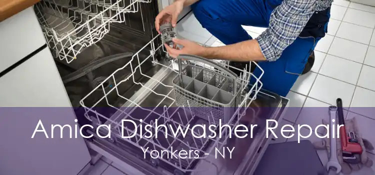 Amica Dishwasher Repair Yonkers - NY