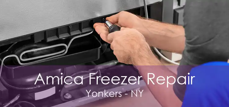Amica Freezer Repair Yonkers - NY
