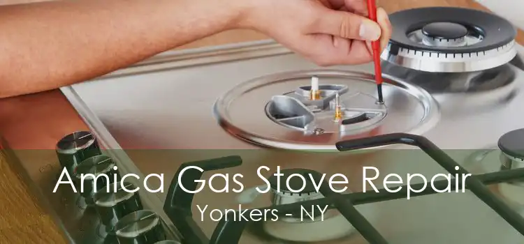 Amica Gas Stove Repair Yonkers - NY