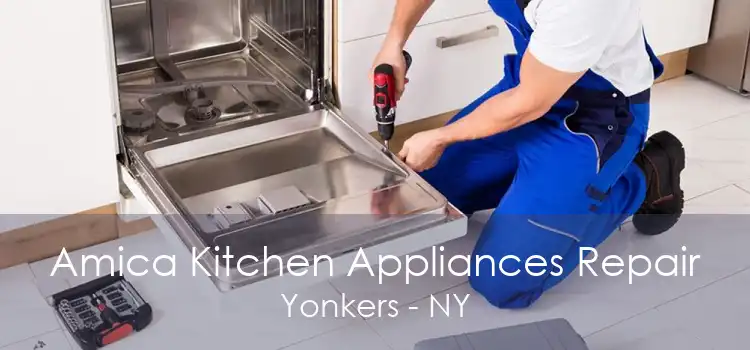 Amica Kitchen Appliances Repair Yonkers - NY