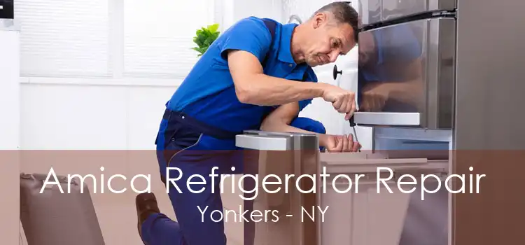 Amica Refrigerator Repair Yonkers - NY