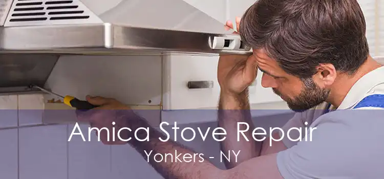 Amica Stove Repair Yonkers - NY