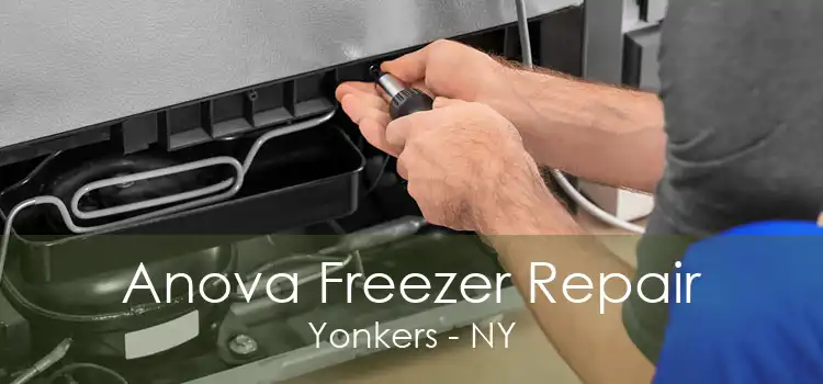 Anova Freezer Repair Yonkers - NY