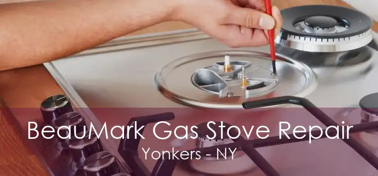 BeauMark Gas Stove Repair Yonkers - NY