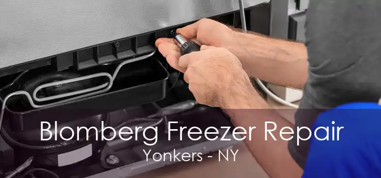 Blomberg Freezer Repair Yonkers - NY