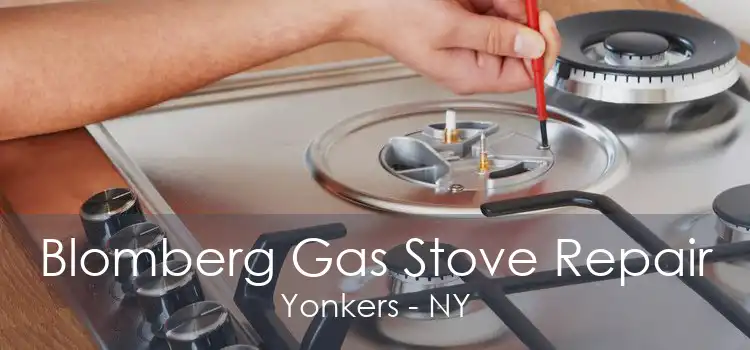 Blomberg Gas Stove Repair Yonkers - NY