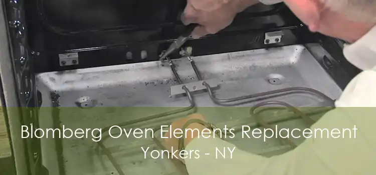 Blomberg Oven Elements Replacement Yonkers - NY