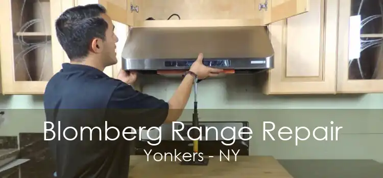 Blomberg Range Repair Yonkers - NY