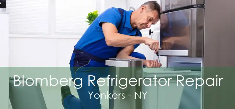 Blomberg Refrigerator Repair Yonkers - NY