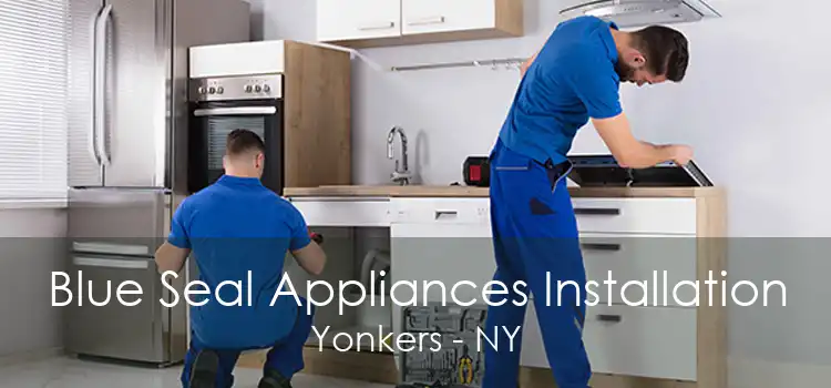 Blue Seal Appliances Installation Yonkers - NY