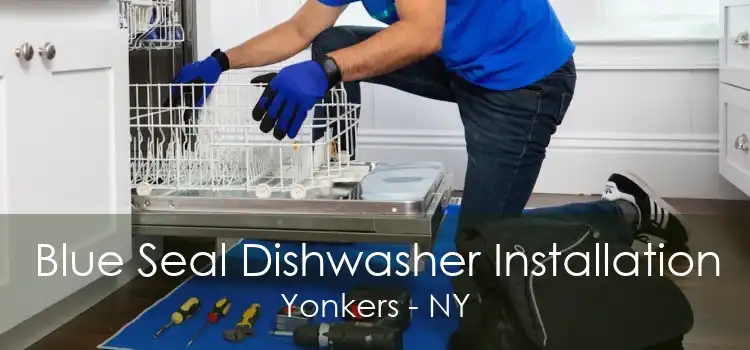 Blue Seal Dishwasher Installation Yonkers - NY
