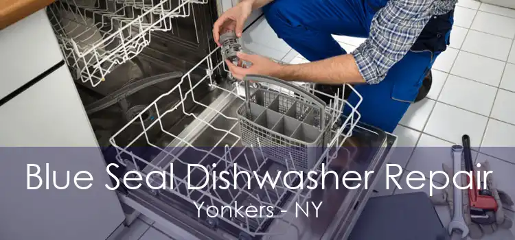 Blue Seal Dishwasher Repair Yonkers - NY