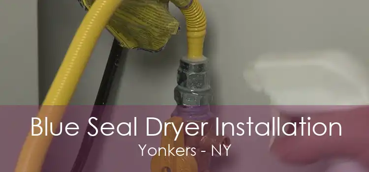 Blue Seal Dryer Installation Yonkers - NY