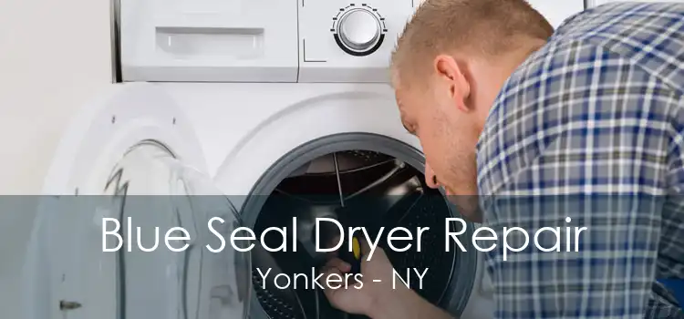 Blue Seal Dryer Repair Yonkers - NY