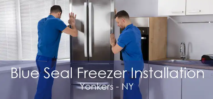Blue Seal Freezer Installation Yonkers - NY