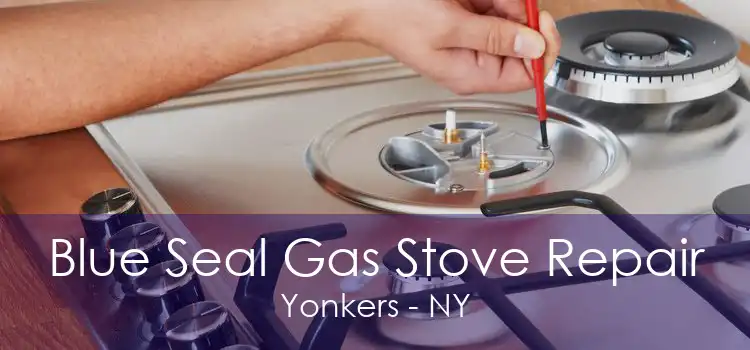 Blue Seal Gas Stove Repair Yonkers - NY