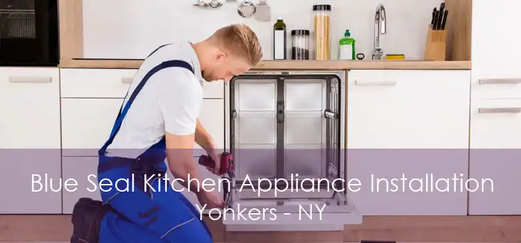 Blue Seal Kitchen Appliance Installation Yonkers - NY