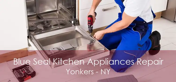 Blue Seal Kitchen Appliances Repair Yonkers - NY