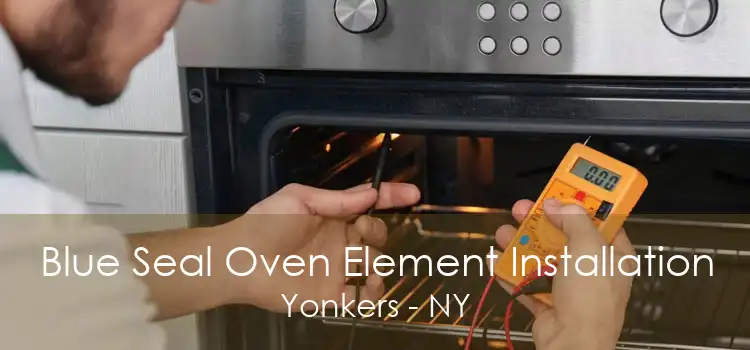 Blue Seal Oven Element Installation Yonkers - NY