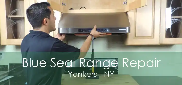 Blue Seal Range Repair Yonkers - NY