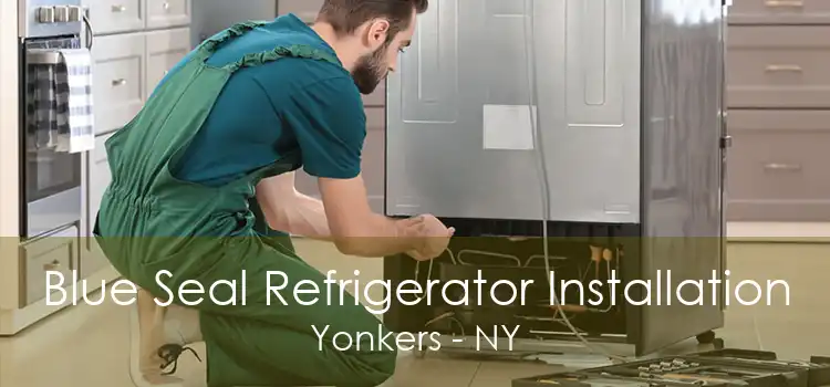 Blue Seal Refrigerator Installation Yonkers - NY