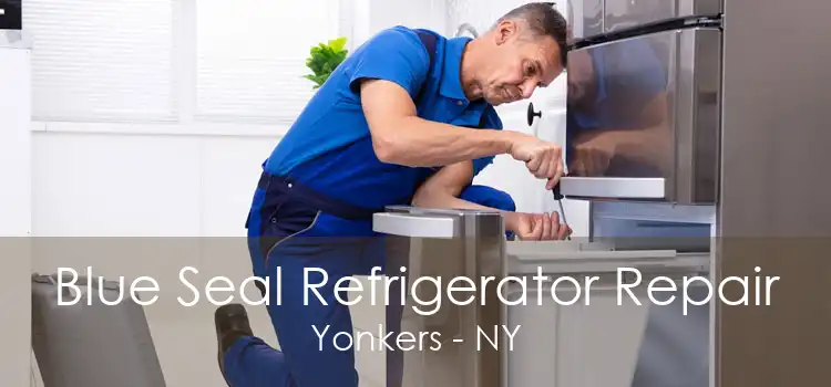 Blue Seal Refrigerator Repair Yonkers - NY