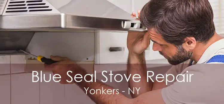 Blue Seal Stove Repair Yonkers - NY