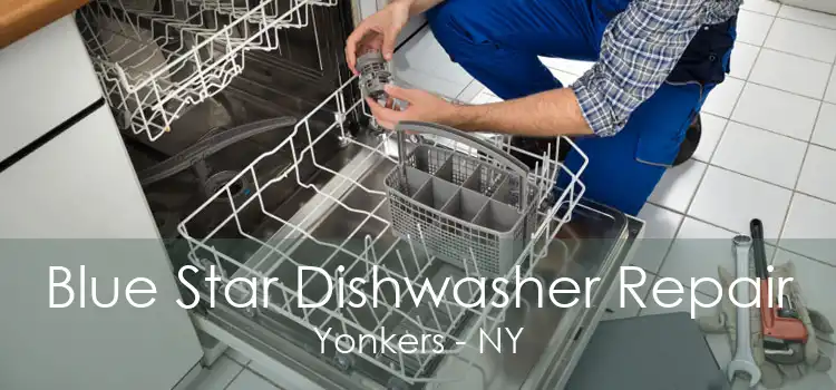 Blue Star Dishwasher Repair Yonkers - NY