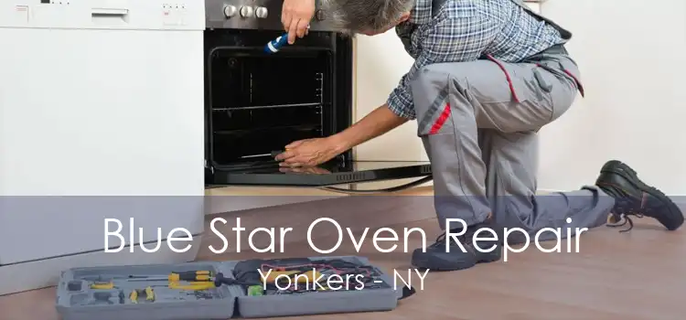 Blue Star Oven Repair Yonkers - NY