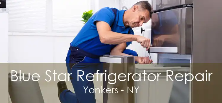 Blue Star Refrigerator Repair Yonkers - NY