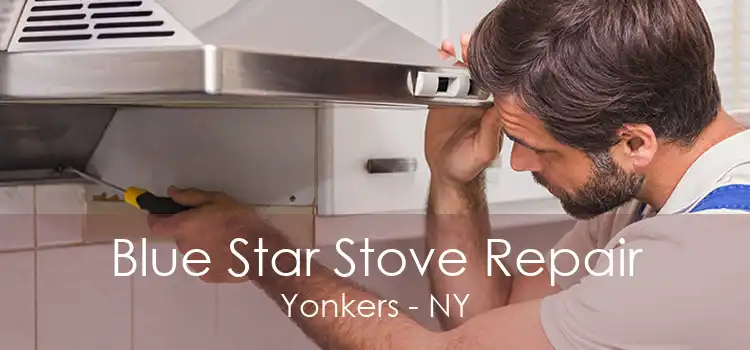 Blue Star Stove Repair Yonkers - NY