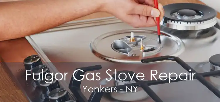 Fulgor Gas Stove Repair Yonkers - NY