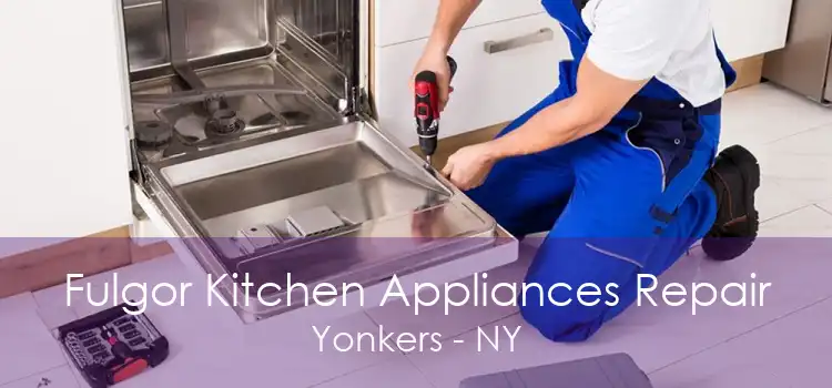 Fulgor Kitchen Appliances Repair Yonkers - NY