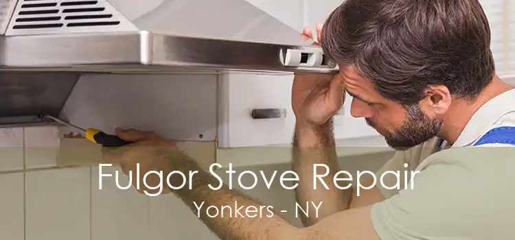 Fulgor Stove Repair Yonkers - NY