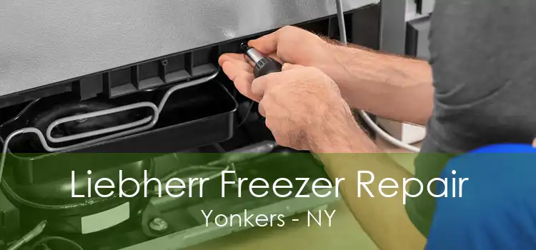 Liebherr Freezer Repair Yonkers - NY