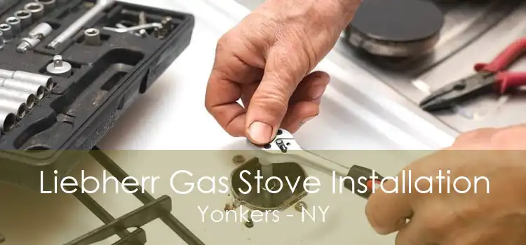 Liebherr Gas Stove Installation Yonkers - NY