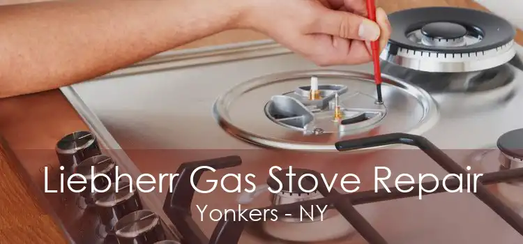 Liebherr Gas Stove Repair Yonkers - NY