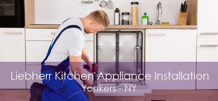 Liebherr Kitchen Appliance Installation Yonkers - NY