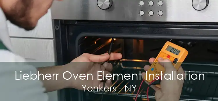 Liebherr Oven Element Installation Yonkers - NY