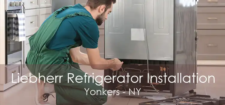 Liebherr Refrigerator Installation Yonkers - NY
