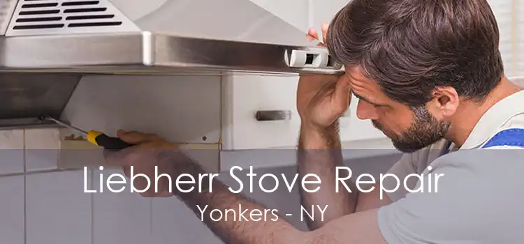 Liebherr Stove Repair Yonkers - NY