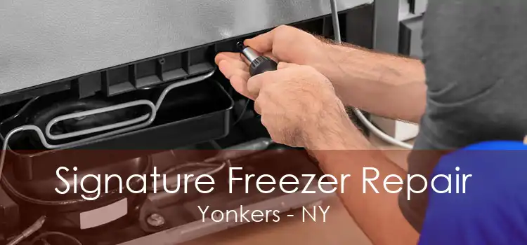 Signature Freezer Repair Yonkers - NY