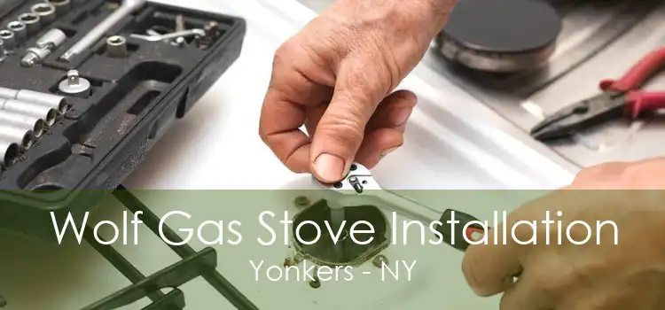 Wolf Gas Stove Installation Yonkers - NY