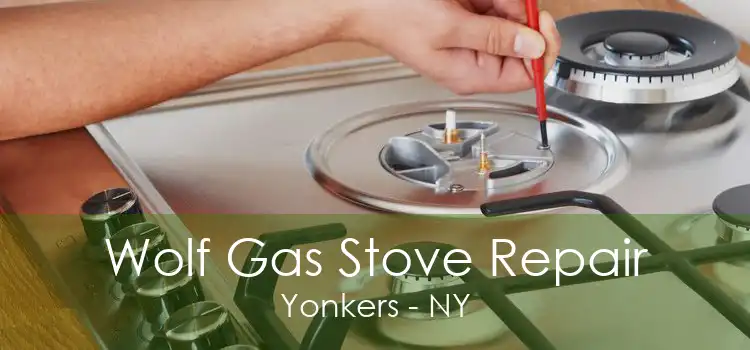 Wolf Gas Stove Repair Yonkers - NY
