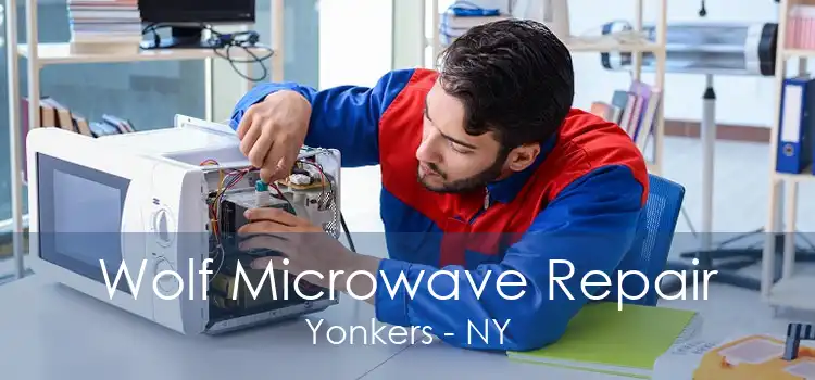 Wolf Microwave Repair Yonkers - NY